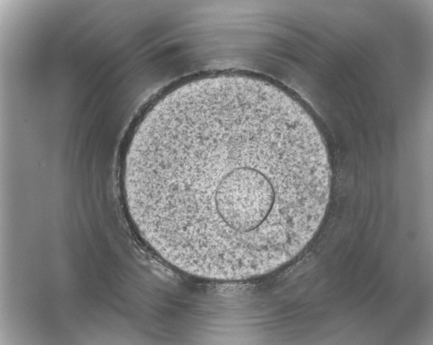 X0000065970832200603241911