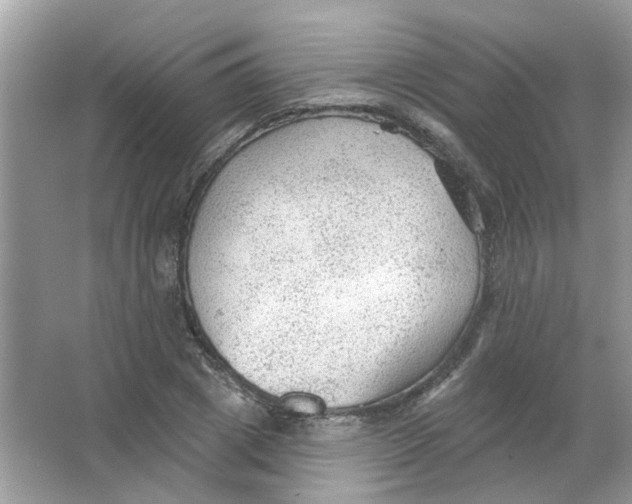 X0000065970833200603241911