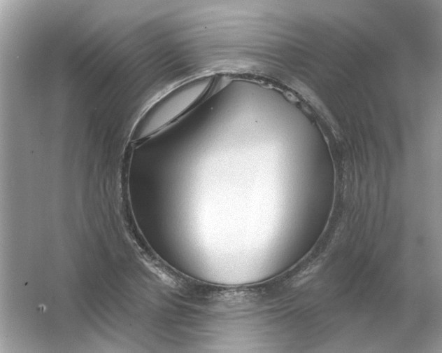 X0000065970834200603241911