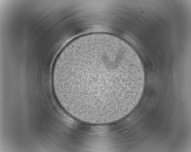 X0000065970836200603241911