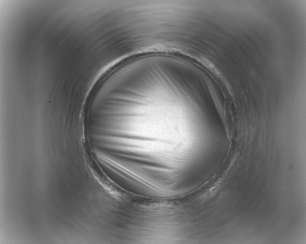 X0000065970838200603241911