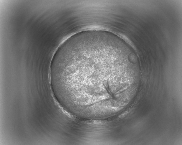 X0000065970839200603241911