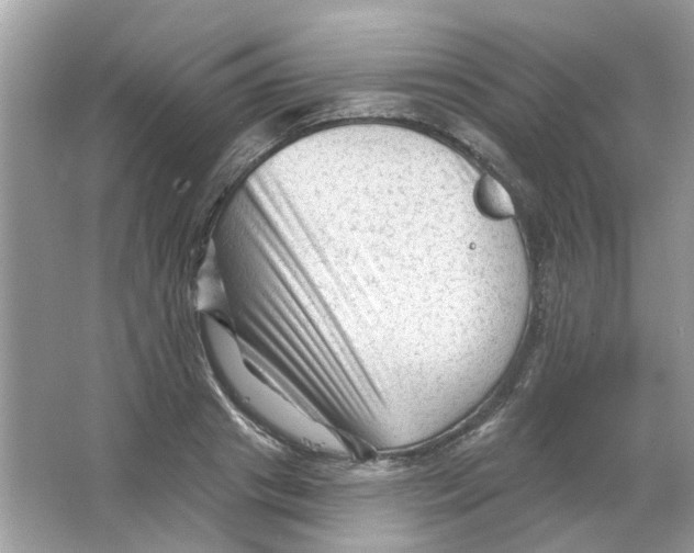 X0000065970841200603241911