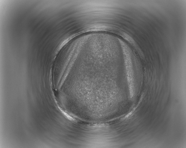 X0000065970842200603241911