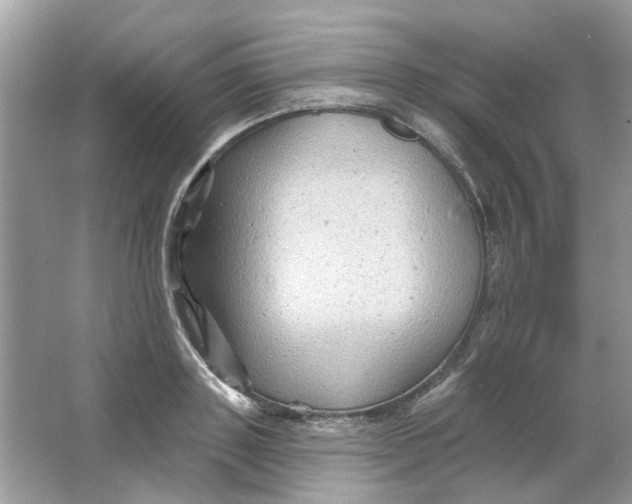 X0000065970843200603241911