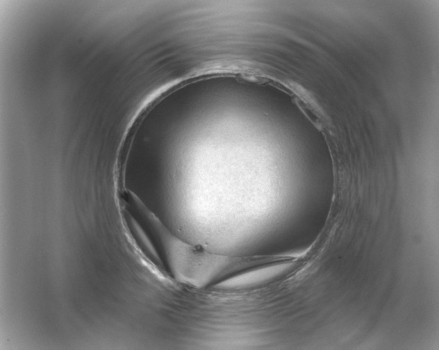 X0000065970846200603241911