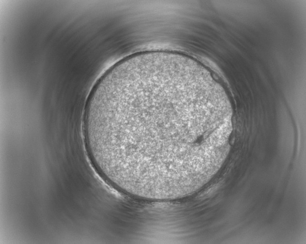 X0000065970847200603241911