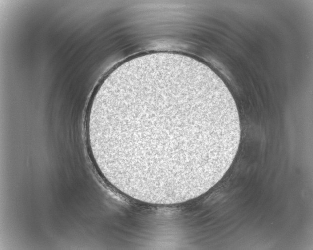 X0000065970848200603241911