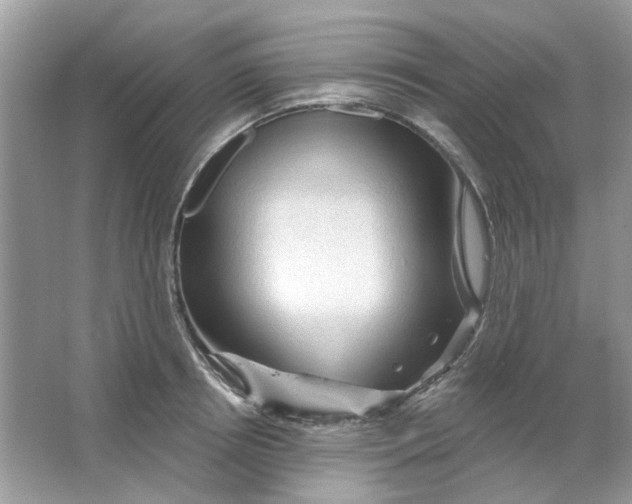 X0000065970850200603241911