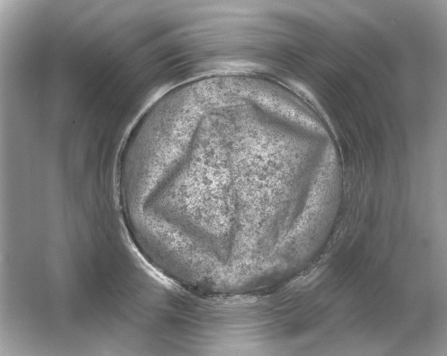 X0000065970851200603241911