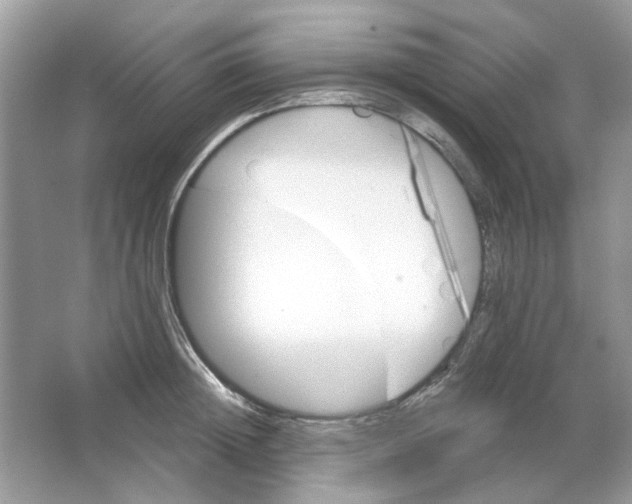 X0000065970852200603241911