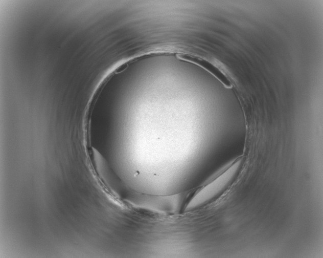 X0000065970854200603241911