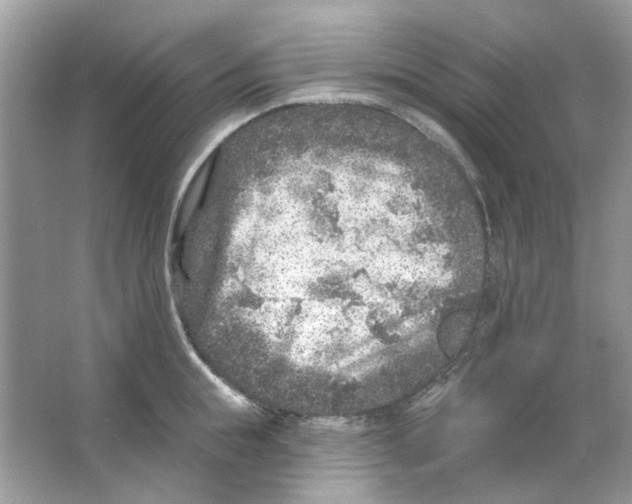 X0000065970855200603241911