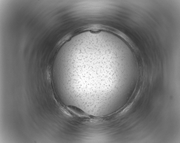 X0000065970857200603241911