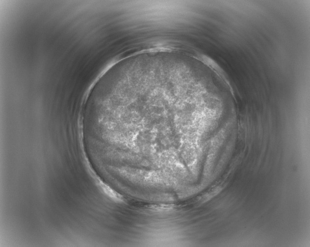 X0000065970859200603241911