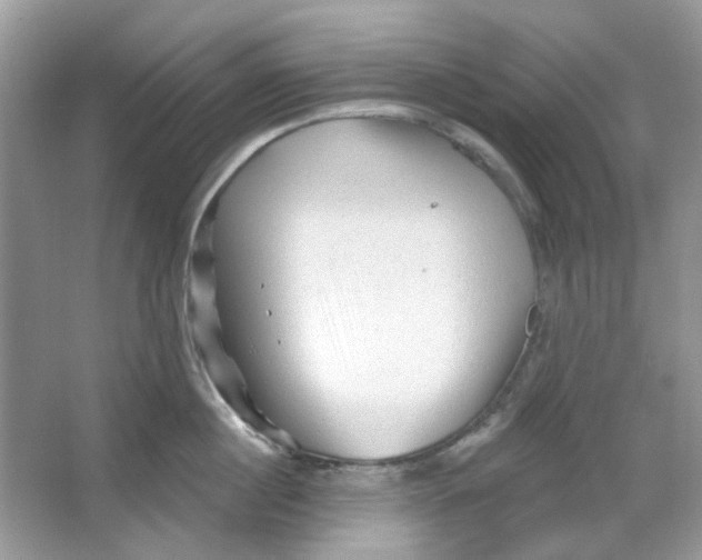 X0000065970860200603241911