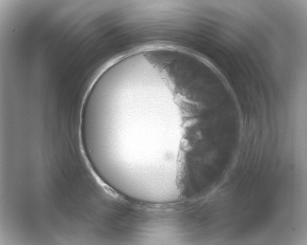 X0000065970861200603241911