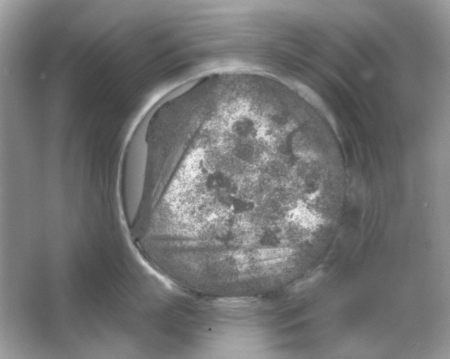 X0000065970863200603241911