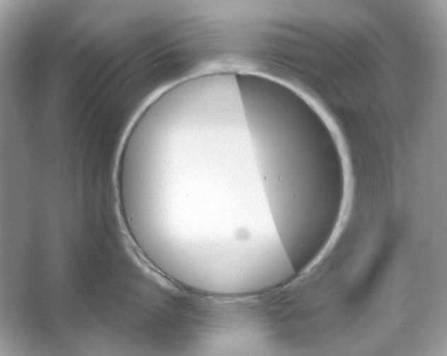 X0000065970864200603241911