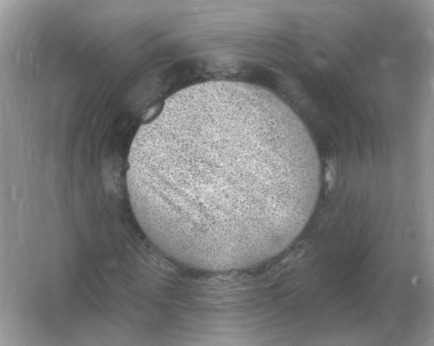 X0000065970867200603241911