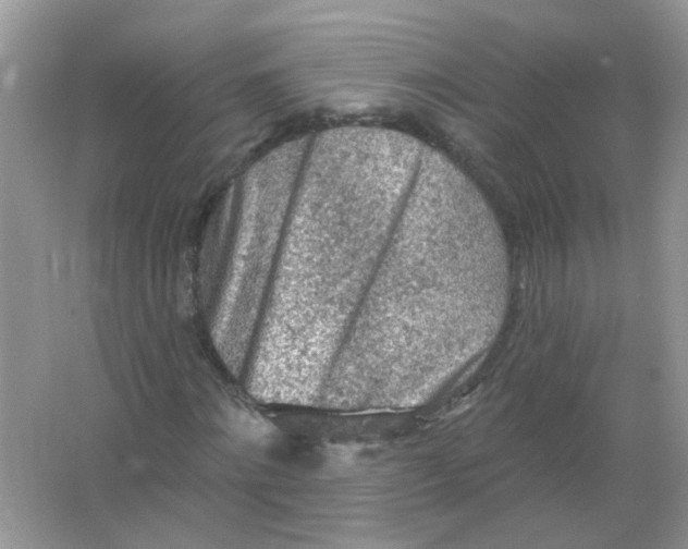 X0000065970868200603241910