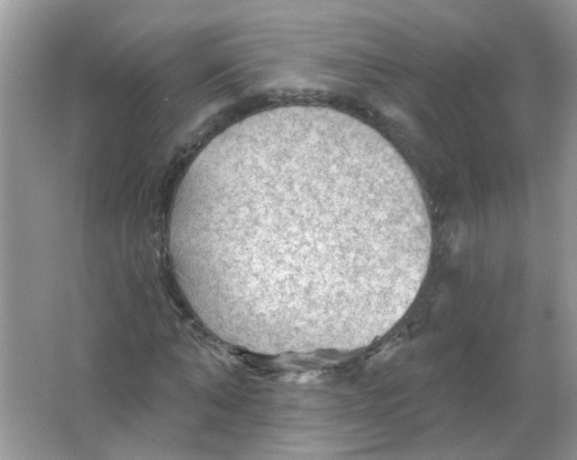 X0000065970870200603241910