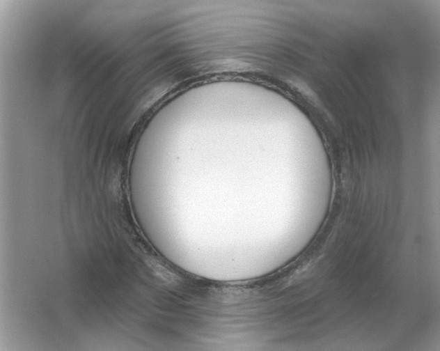 X0000065970873200603241910