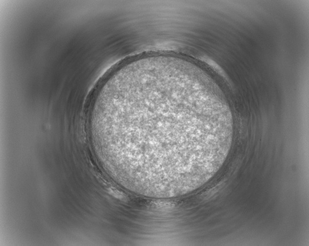 X0000065970878200603241910