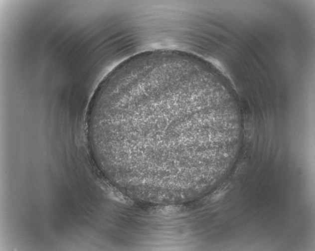 X0000065970879200603241910