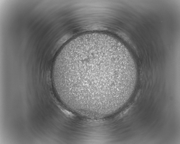 X0000065970881200603241910