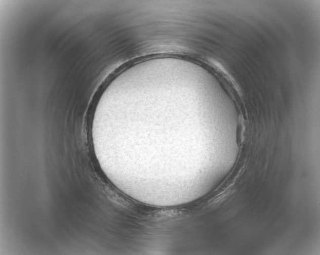 X0000065970883200603241910