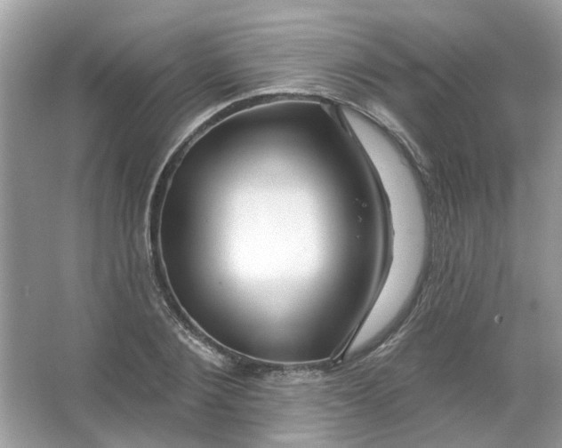 X0000065970884200603241910