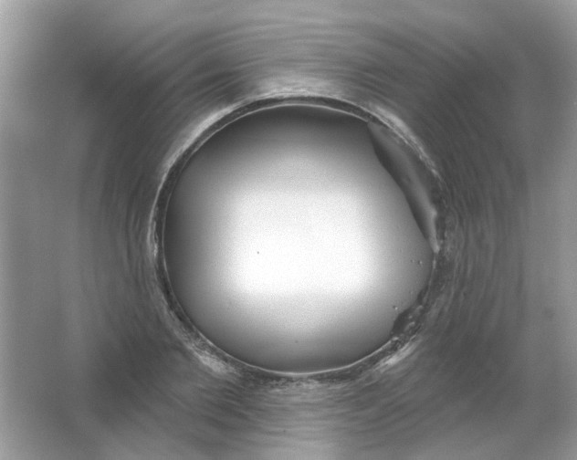 X0000065970885200603241910