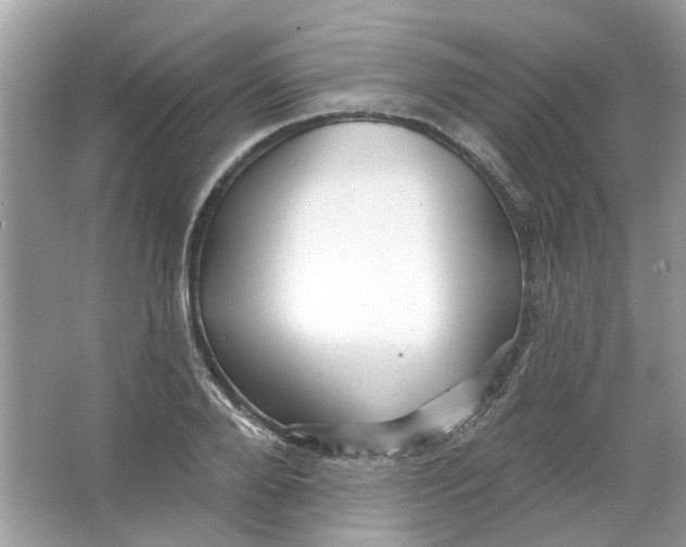 X0000065970888200603241910