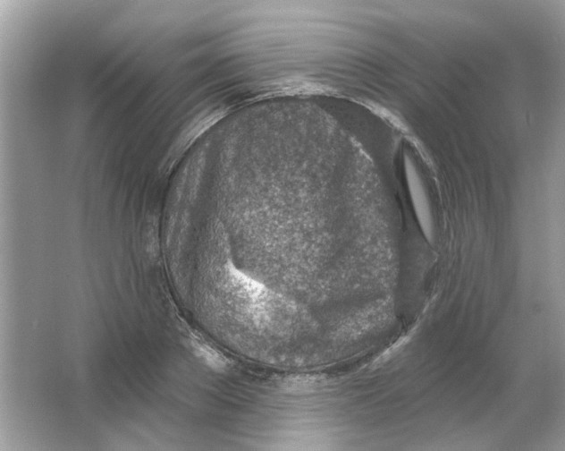 X0000065970889200603241910