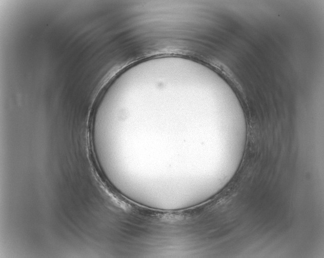 X0000065970890200603241910