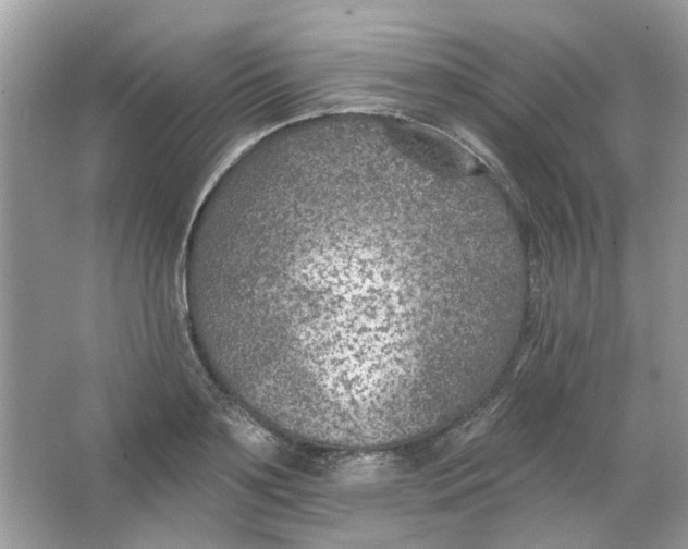 X0000065970891200603241910