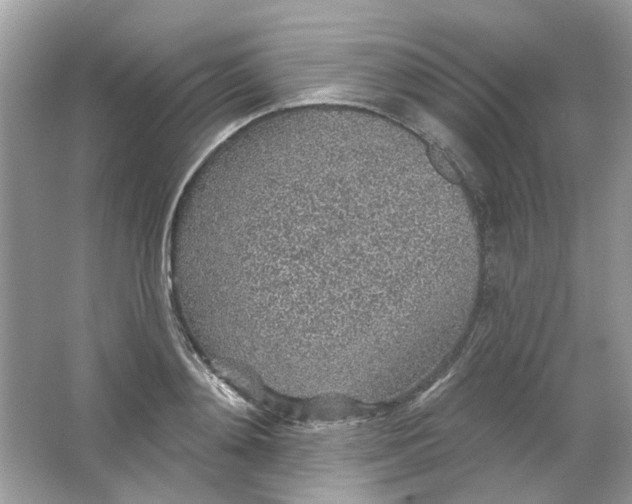 X0000065970892200603241910