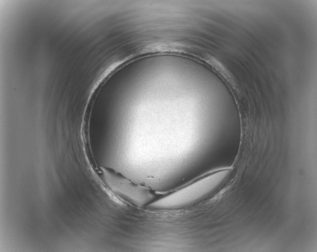 X0000065970893200603241910