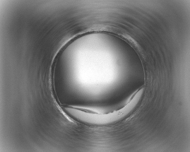 X0000065970894200603241910