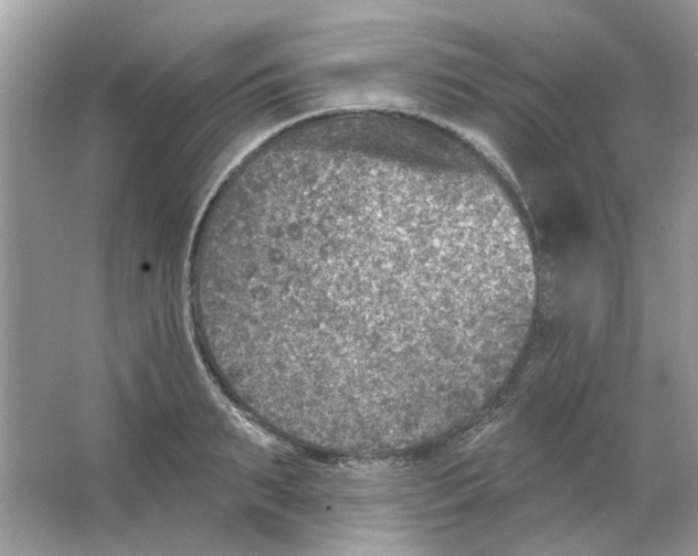 X0000065970895200603241910