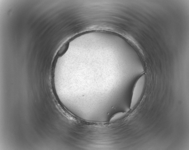 X0000065970896200603241910