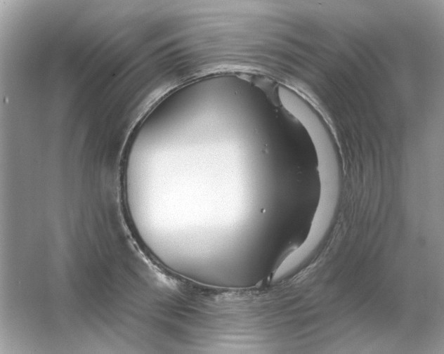 X0000065970898200603241910