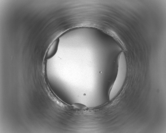 X0000065970900200603241910