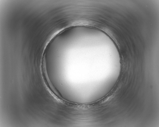 X0000065970901200603241910