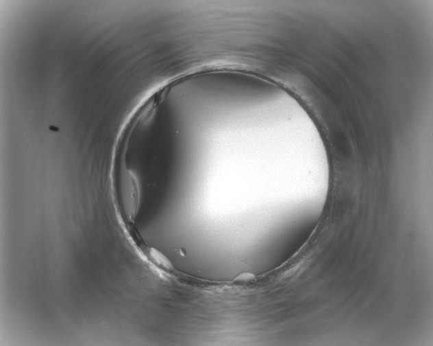 X0000065970902200603241910