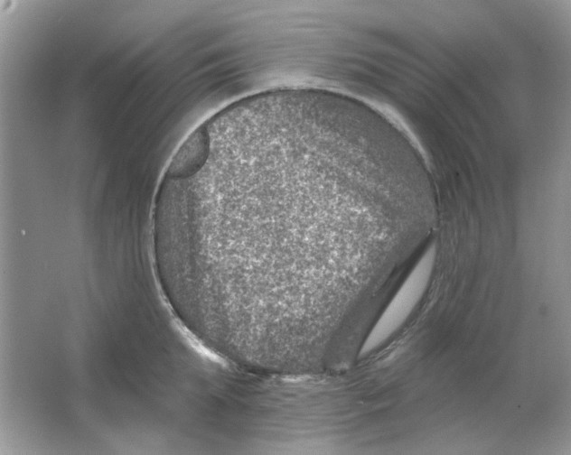 X0000065970903200603241910