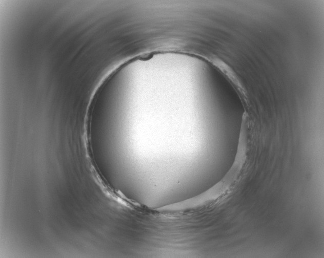 X0000065970904200603241910