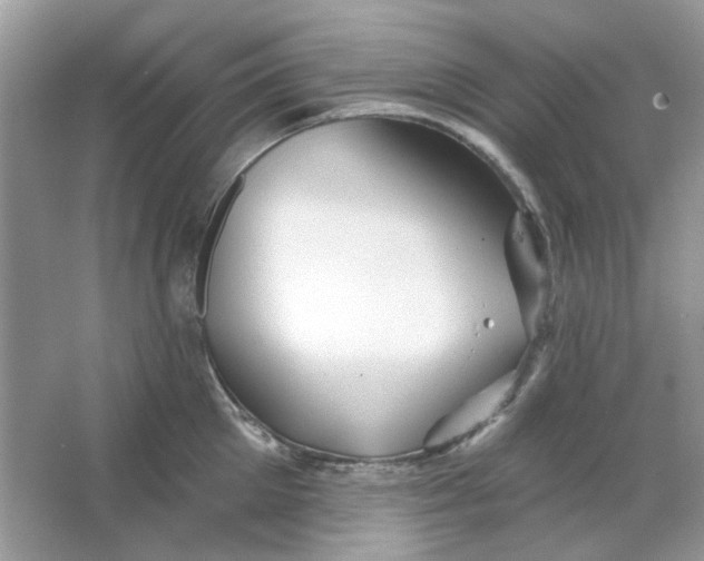 X0000065970905200603241910