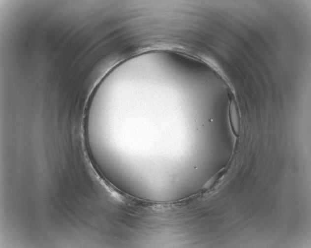 X0000065970906200603241910